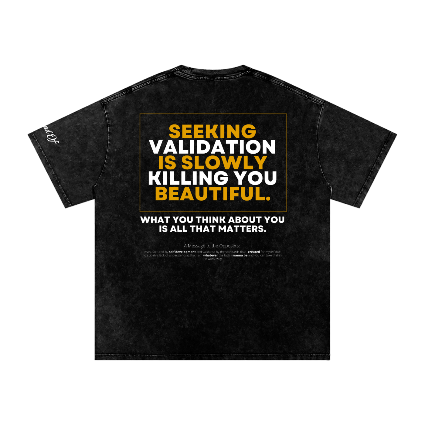 No More Validation Snow Washed T-Shirt